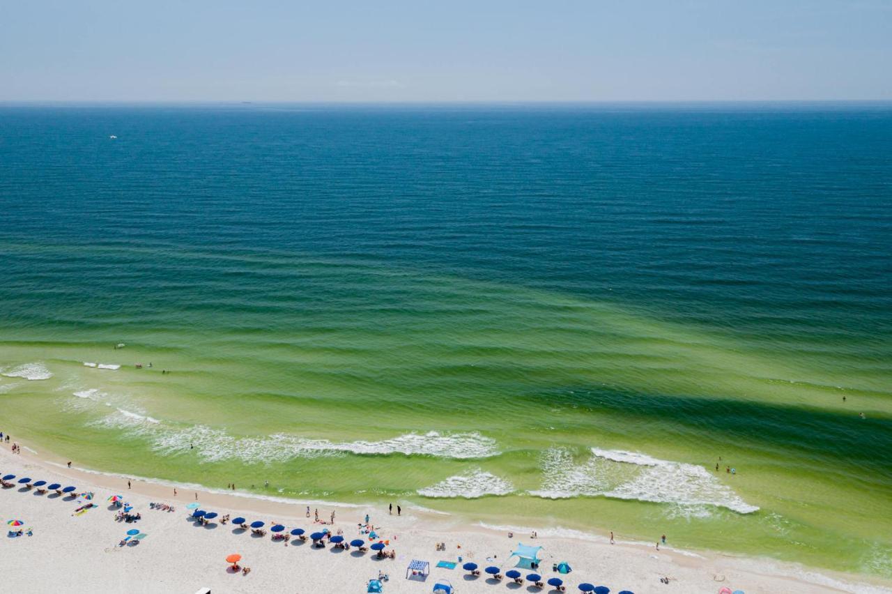 Sunset Spring Break Special ! Appartement Gulf Shores Buitenkant foto